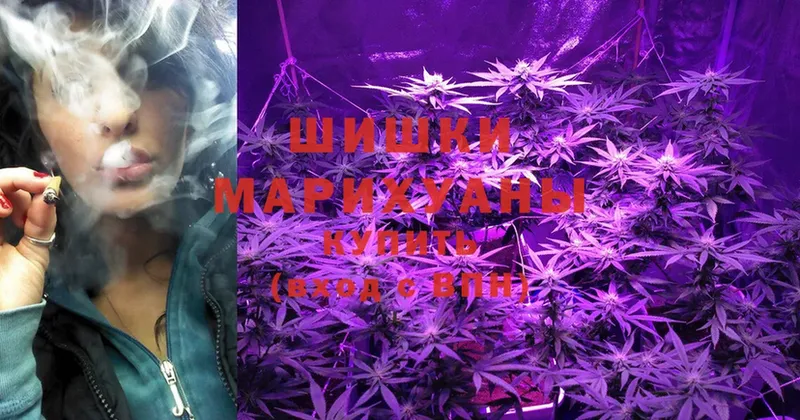 где купить наркоту  Арамиль  Шишки марихуана OG Kush 